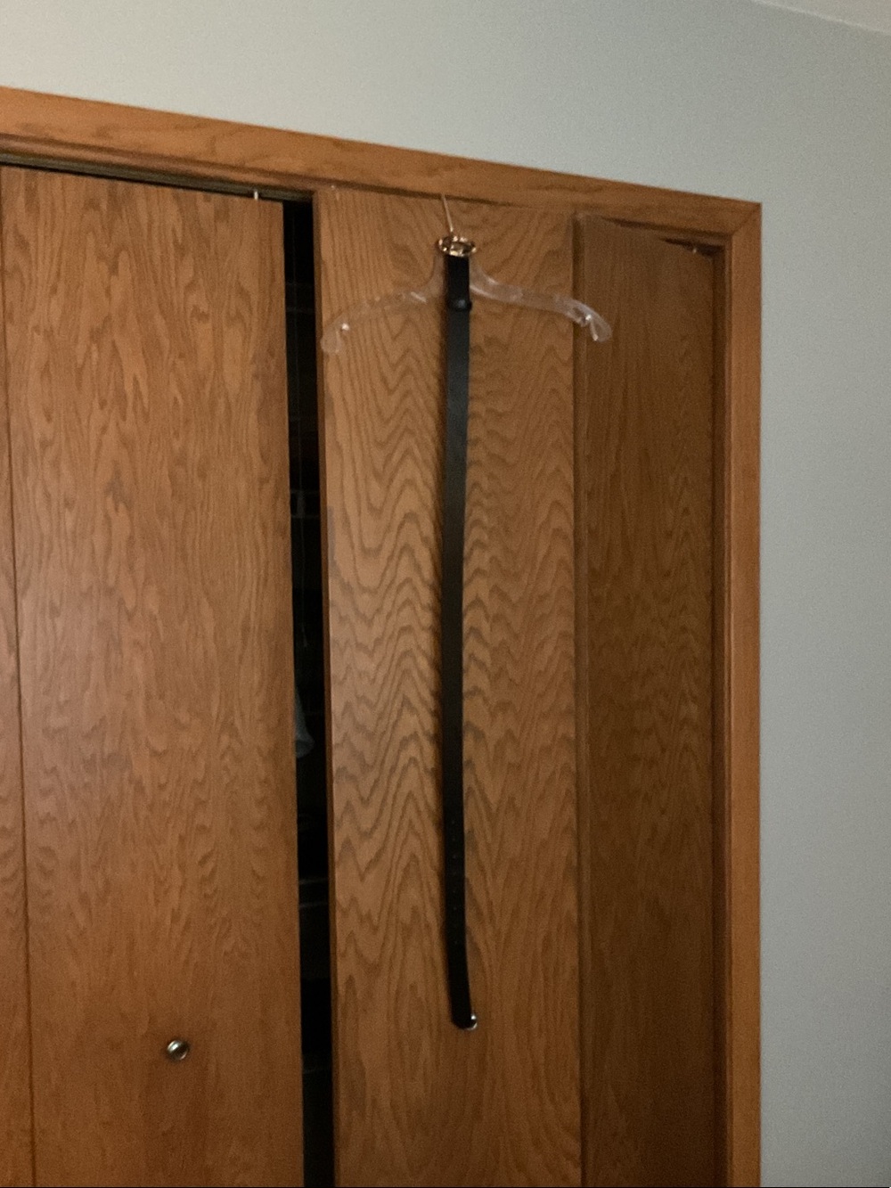 Clear Plastic Clothes Hanger with Black Strap - Home Storage & Organization